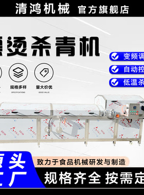 大型雷笋蒸煮加工设备商用青菜固色杀青机清水藕片生产流水线