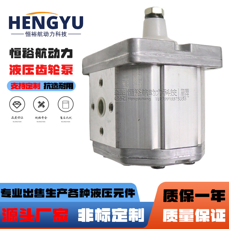 迪普马DUPLOMATIC齿轮泵GP2-011R95B GP1-0020R95 GP3-0427液压泵