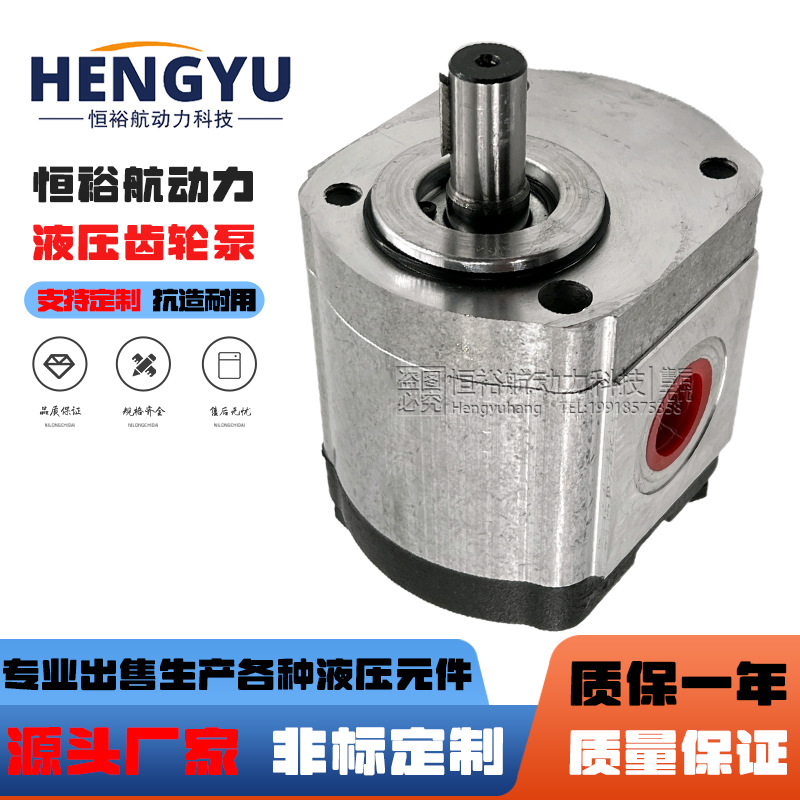 罗茨齿轮泵RONZIO齿轮双向马达02ZLG08A349R 02ZCG14L441R液压泵