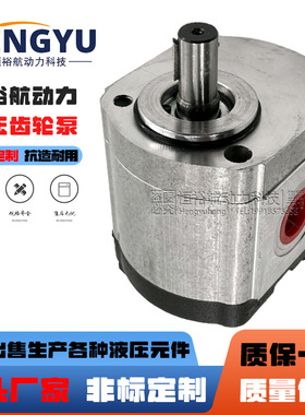 罗茨齿轮泵RONZIO齿轮双向马达02ZLG08A349R 02ZCG14L441R液压泵