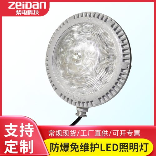 防爆照明灯厂房仓库楼道车间50W100W大光源应急照明工厂定 制