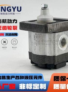 罗茨液压泵RONZIO齿轮泵01ZAG11C401D 01ZAG32C442D 01ZCG42N600D