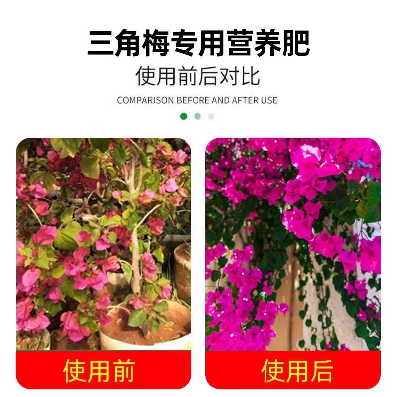 三角梅开花专用肥催花营养液促花开爆花防黄叶掉叶喜酸植物营养肥