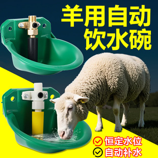 羊饮水碗铜阀猪牛羊用水槽羊自动饮水器羊用喝水饮水器铜阀水碗