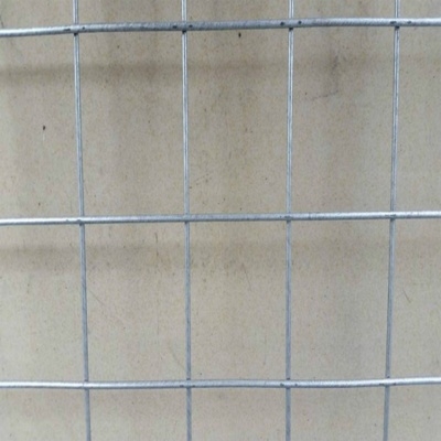 镀锌铁丝网格家用养殖围栏电焊网建筑工地粉墙钢丝网片