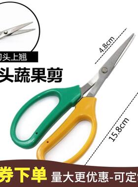 葡萄采果专用剪刀适用于柑橘蔬果修剪 果园修枝摘果剪高硬度镀层