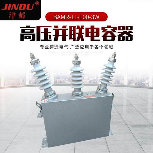 津都 高压并联电容器BAMR-11-100-3W 户外电容器 补偿电容器