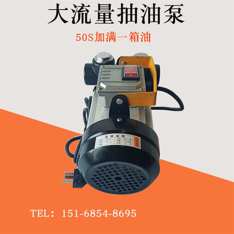 电动抽油泵12V24V220V加油机柴油抽油器大功率加油泵机油抽油机