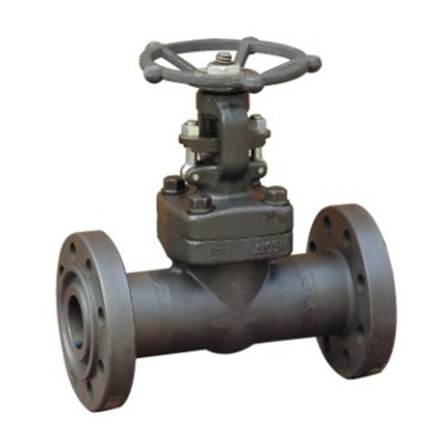 高压闸阀Z41H/Y-64/100 A105 高压锻钢锻打法兰闸阀DN15 20 25