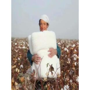 新货新疆长绒棉优等品床垫棉絮套垫被褥子芯棉被纯被胎棉花胎包邮