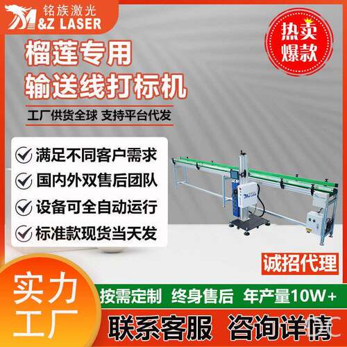 铭族激光榴莲激光打标机全自动加装流水线榴莲雕刻飞行激光打标机
