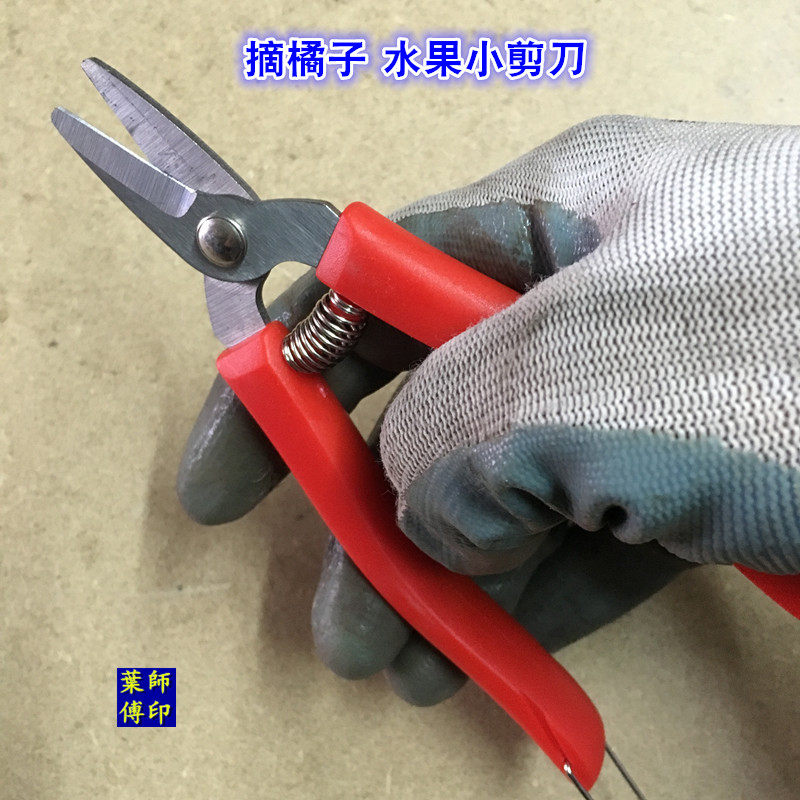 摘橘子家用剪刀修花椒园艺修枝果果蔬剪剪水果采剪番茄剪枸杞长头