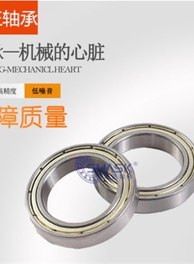 不锈钢轴承C- SB6006ZZ/SB6806ZZ/SB6906ZZ/SB6206ZZ/SB6306ZZ