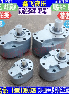 低压齿轮油泵CB-BM16 CB-BM20循环泵BM25 BM32川润稀油站润滑泵3