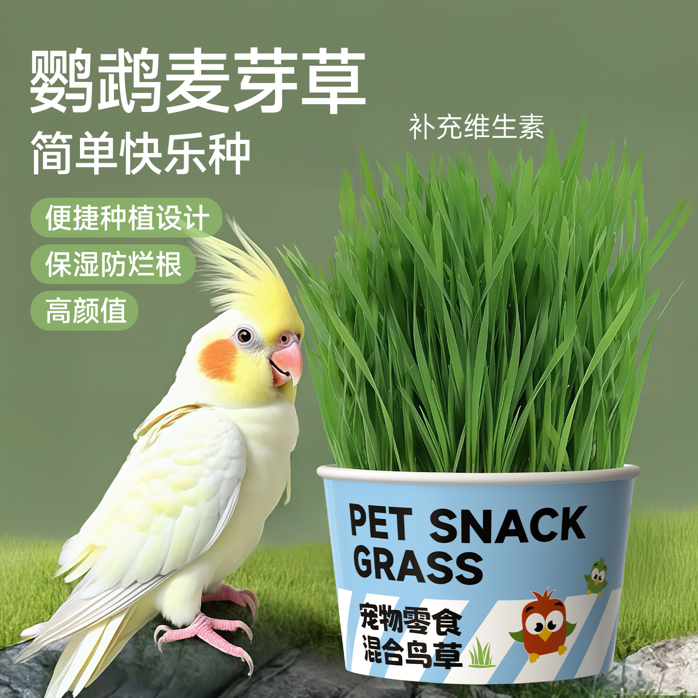 鹦鹉麦芽草食用鸟草磨牙促消化