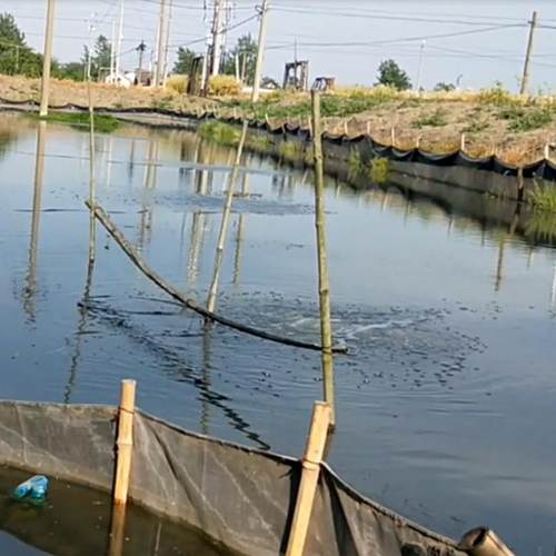 8亩塘全套曝微孔增鱼塘全套氧机鱼塘底部气蚂蟥蝌池蚪龙虾螺养殖