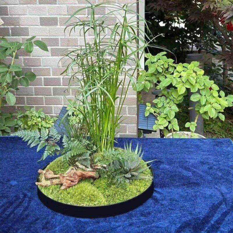 艺定制微景观圆GGJ桌造景接水盘圆柱形苔藓面花槽包多肉花盘盆铁