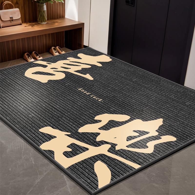 入户门地垫门垫入门户脚垫子进门地毯门口2024新款玄关门外门前