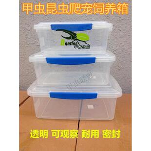 活体宠物甲虫独角仙 蝎子守 饲养箱盒昆虫饲养箱宠物盒幼虫 成虫