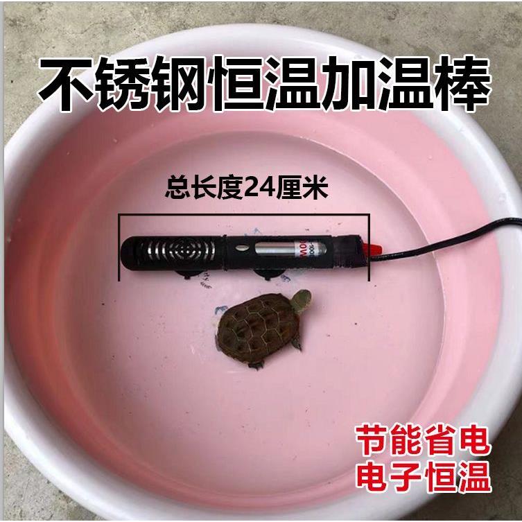 乌龟缸加热棒自动恒温不锈钢防爆水族箱热鱼缸族箱小型专用加热器