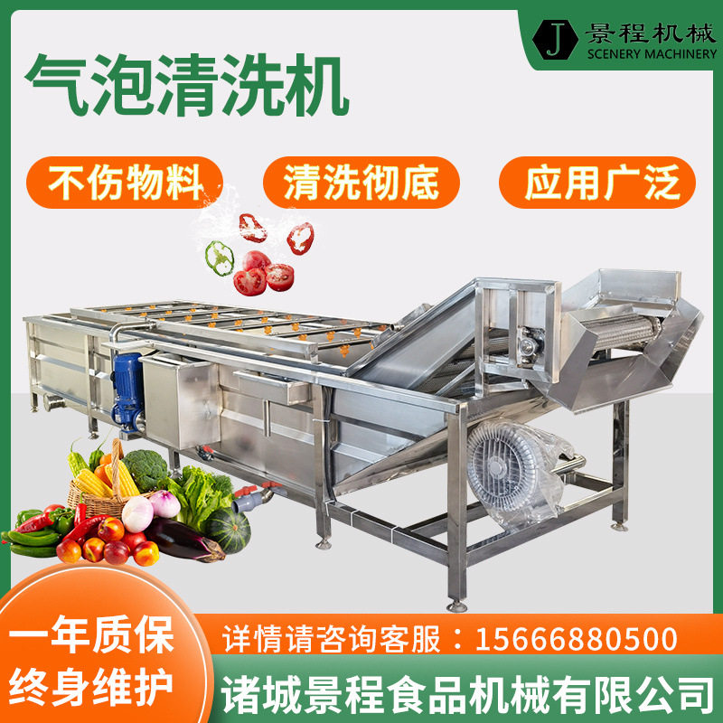 不锈钢果蔬气泡清洗机多功能辣椒喷淋清洗机大型净菜清洗设备