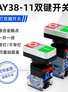 22mm双位双头带灯按钮LAY38-11控制开关红绿启动自复方形双键开关