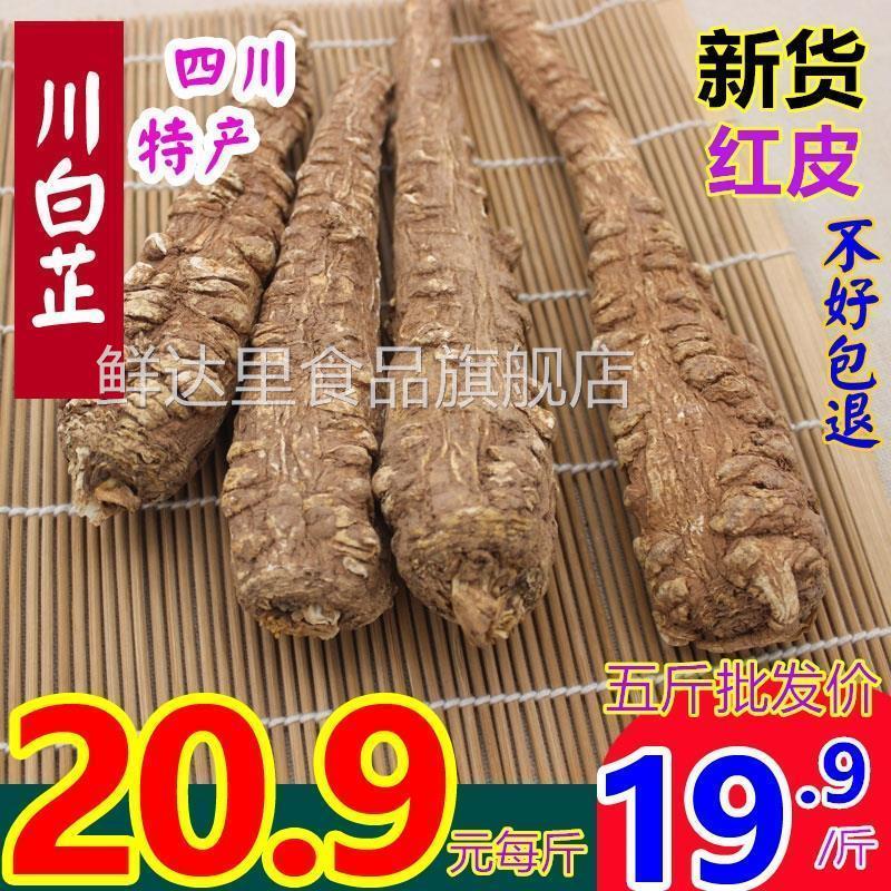 新货川白芷个根红皮500克250g包邮手选四川整大白止条粉纸香调料