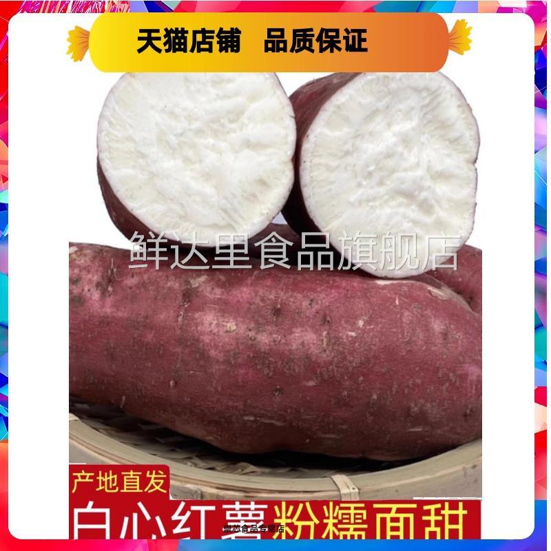 河南白心板栗薯红皮干面地瓜新鲜白瓤山芋白薯干心番薯白芯红薯