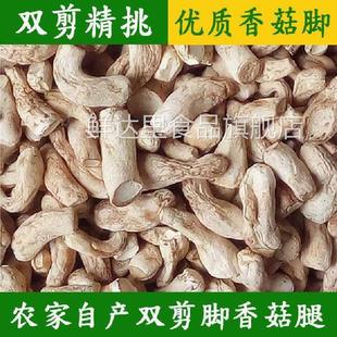 香菇脚干货商用500g干香菇根双剪干香菇腿大香菇脚丁云南香菇菌脚