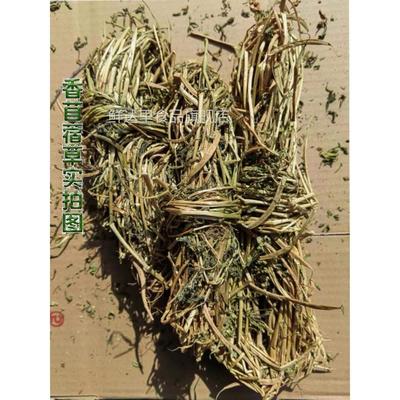 新货苜蓿香草500g木须蒸肉陕西丹凤名吃花卷蒸馍苦豆子粉凉皮调料