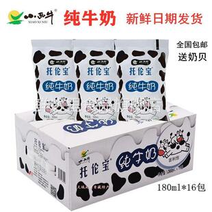 小西牛 青海特产托伦宝纯牛奶青藏高原奶源鲜奶塑袋牛奶180mlx16
