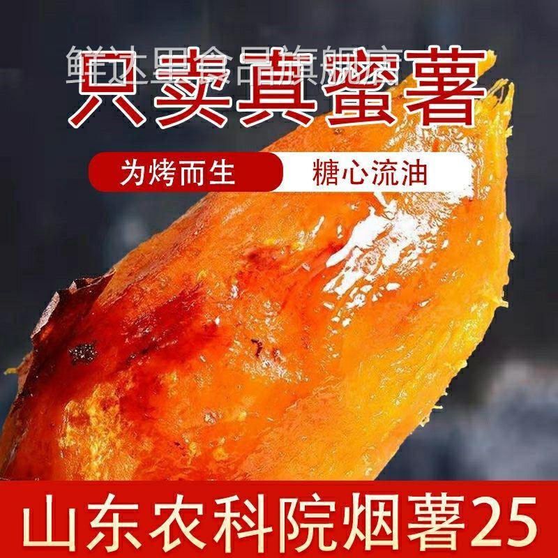 正宗山东烟薯25号流油商用糖心稀蜜薯血管地瓜新货烤红薯红心密薯