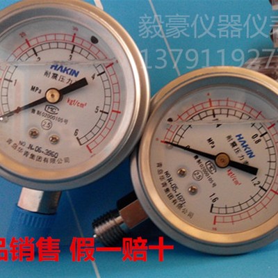 青岛华青耐震压力表 油压表 防震压力表 YTN-60 40MPA 规格齐全