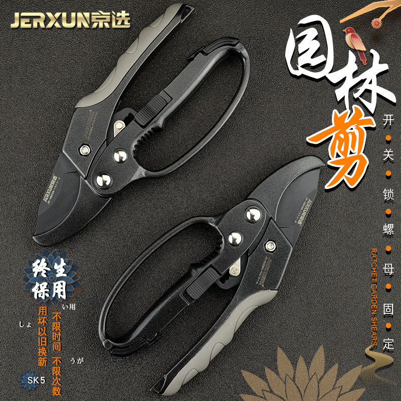 京选棘轮花剪园林园艺大剪刀省力修枝剪树枝剪刀剪子果树摘果水果