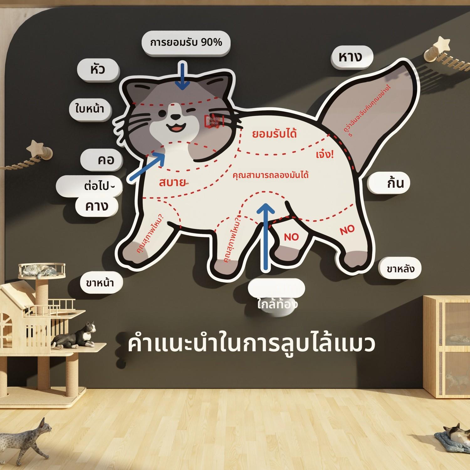 撸猫咪馆咖贴纸部位墙面装饰用品图宠物店铺背景玻璃房门网红打卡