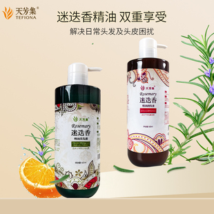 天芳集迷迭香精油洗发露润发素套装蓬松洗发水