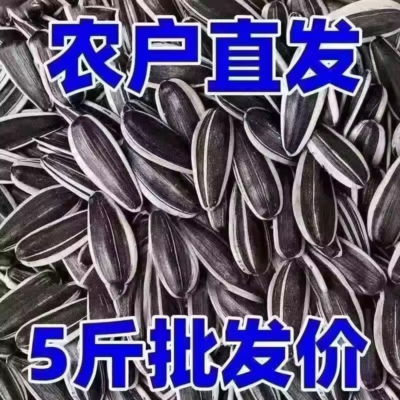 【特大颗粒】内蒙古新货瓜子葵花籽年货饱满原味炒熟炒货散装批发