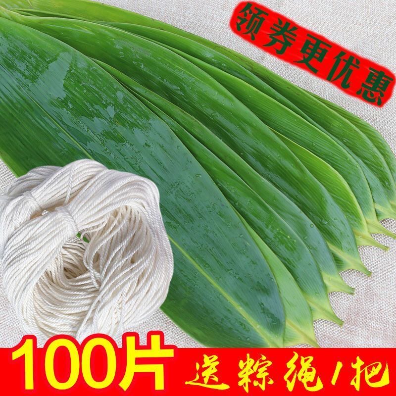 粽子叶新鲜大宽叶大号棕叶包粽子专用大叶真空包装端午节新叶批发