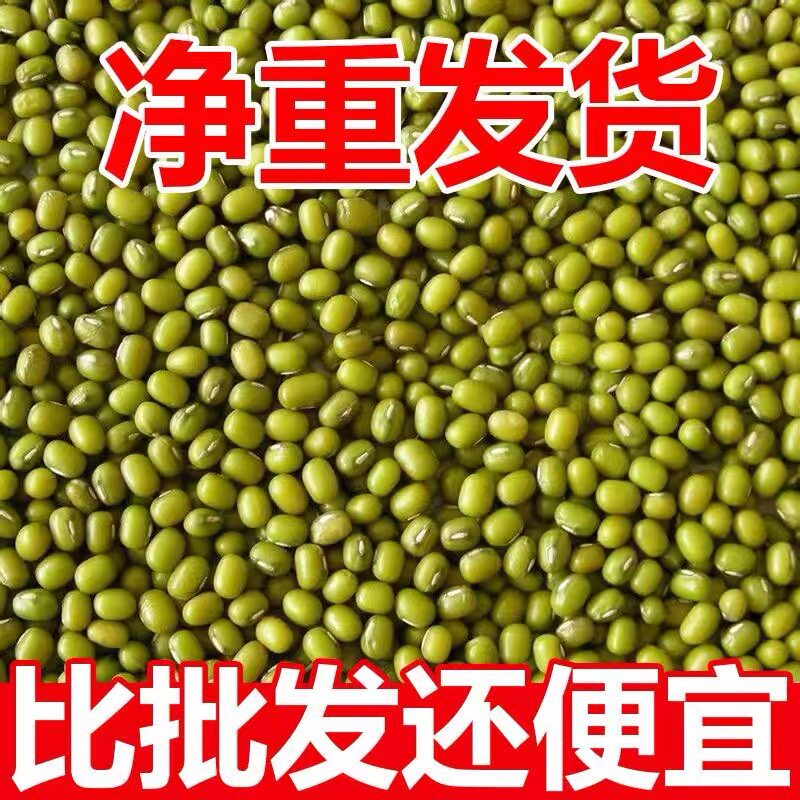 东北新鲜绿豆农家新货5斤五谷杂粮绿豆粥汤绿豆糕绿豆沙粗粮正宗