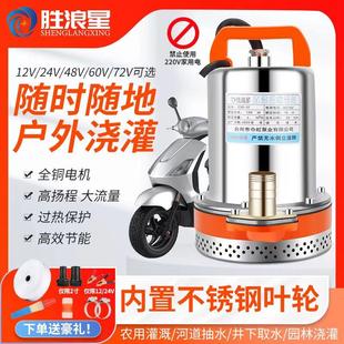 潜水泵12V24V48V60V伏电瓶泵小型家用井用电动车抽水机 直流泵新款