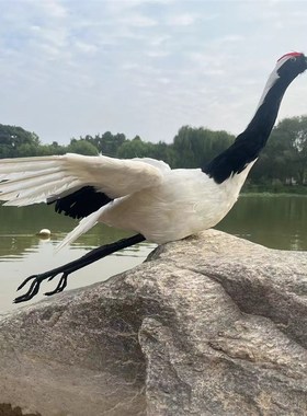 仿真动物丹顶鹤摆件展翅飞翔仙鹤摆件白鹤丹顶鹤白鹭模型手工艺品