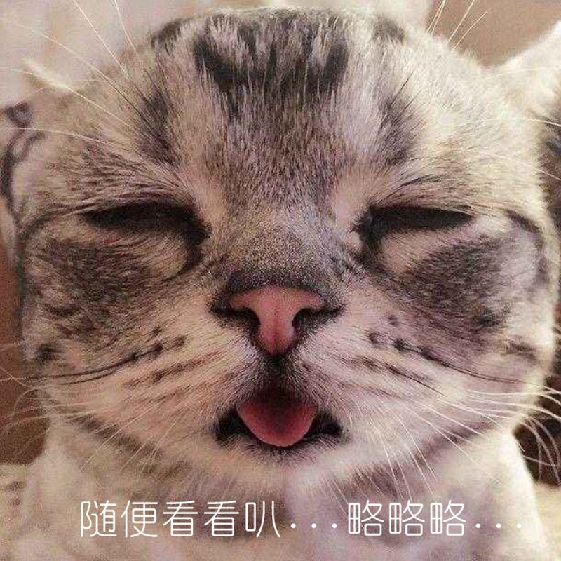 沸石猫砂5磅3包除臭无尘豆腐松木膨润土猫砂盆防外溅非10公斤20斤