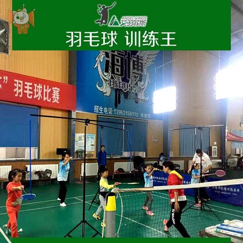 学校羽毛球训练器步伐陪练挥拍吊球架发球机回弹儿童练习高远跳杀