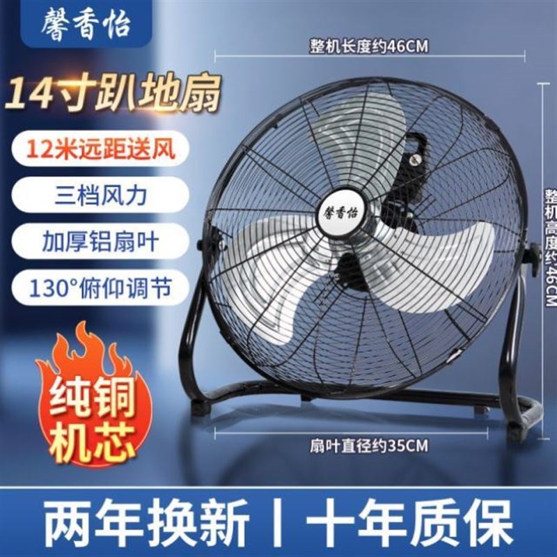 坐地落地扇超静音壁扇台立式电风扇工业工地舞台节能新款大风力