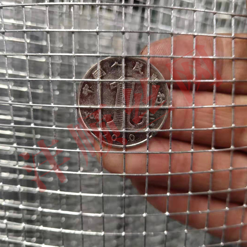 镀锌铁丝网格钢丝网防护网热镀锌电焊网铁网加粗户外养殖围网护栏
