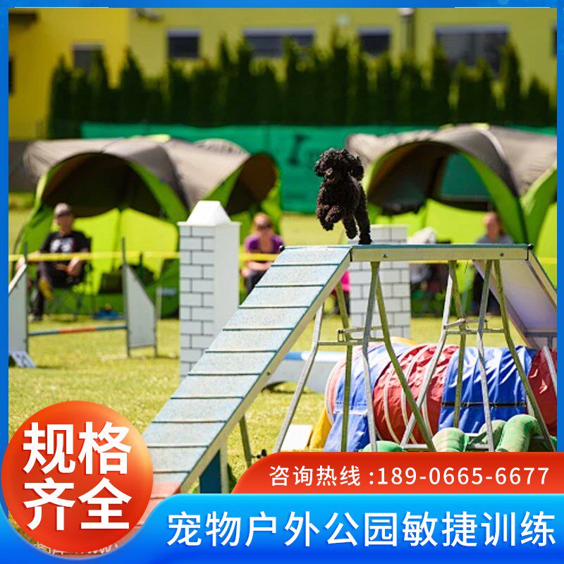 游乐设备宠物乐园体能器材宠物障碍训练器敏捷设施拴犬桩爬坡狗犬