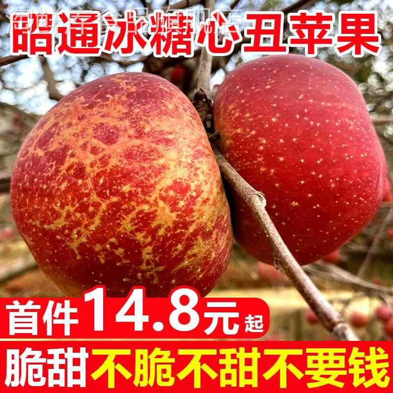 云南昭通丑苹果冰糖心苹果水果新鲜脆甜10斤红露富士当季整箱包邮