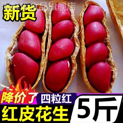 四粒红带壳红皮花生10斤2024新货新鲜干花生米红衣农家自种生花生