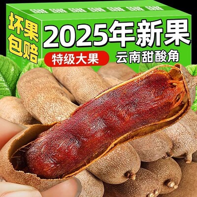 酸角云南特产新鲜甜酸角特酸罗望子休闲孕妇零食散装带壳精选甜角