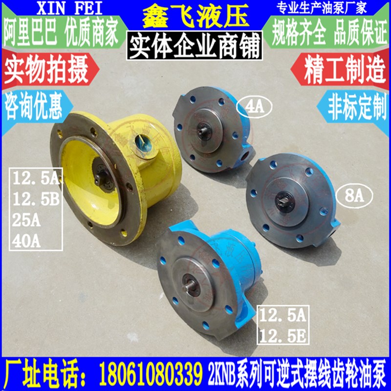 2KNB-12.5A 4A 8A双向摆线润滑油泵TOP-2RA-4C 8C 12C VF减速机泵